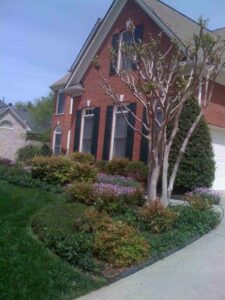 Bush Trimming and lawn care