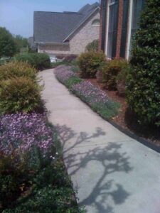 flower beds next to concrete pathway