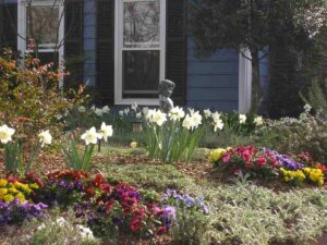 Beautiful flower bed with daffodils and diverse flowers, cared for by Top Gardens Inc.