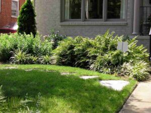 Lawn mowing and yard maintenance services in charlotte