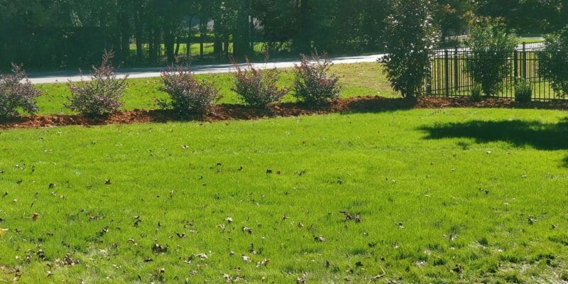 Sod installation and lawn care perform by Top garden Landscaping