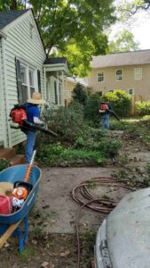 Leaf removal at charlotte lawn
