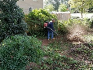 Garden Maintenance Gallery