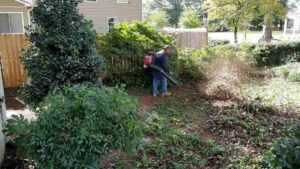 Garden Maintenance by top gardens performing Leaf removal
