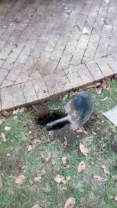 lawn grading and leveling by Top Garden landscaping charlotte