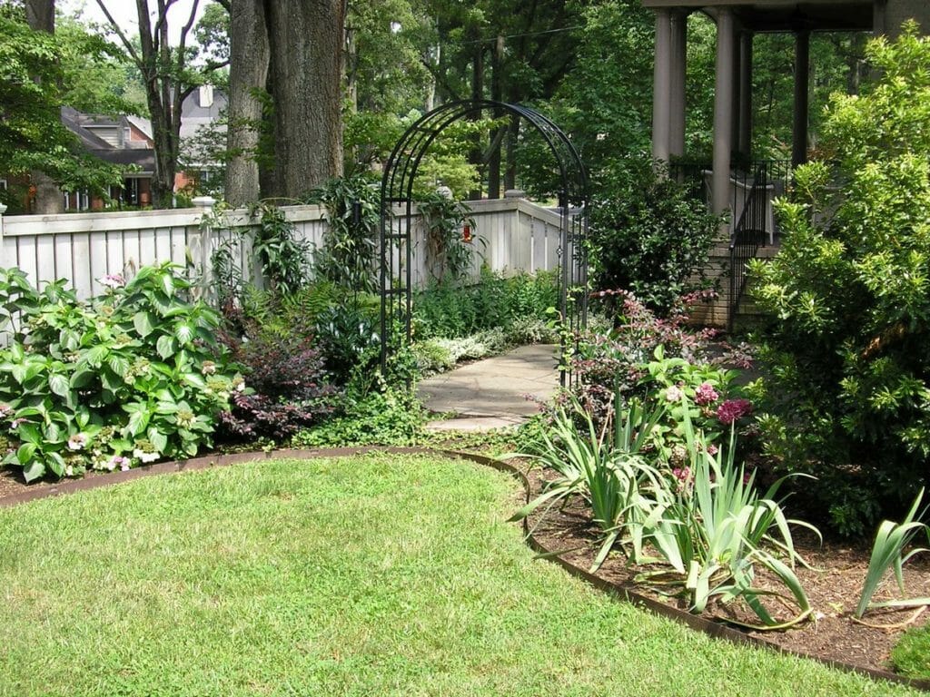 plants along garden pathway