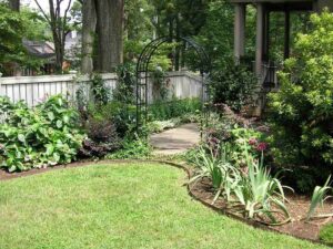plants along garden pathway