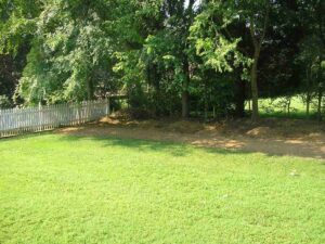 New sod installation and aeration in charlotte