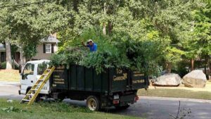 Top Garden pruning and removing leaf's at a charlotte lawn