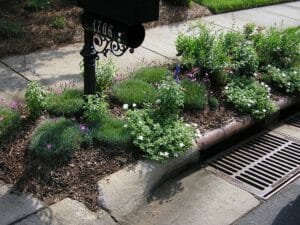 Drainage & Irrigation