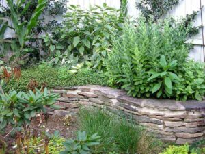 Garden Plants with hardscaping and a retaining wall