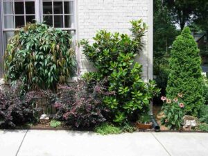 lawncare and landscaping installations in charlotte