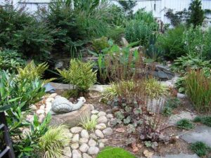 Well maintained lawn with pond landscaping in charlotte, NC