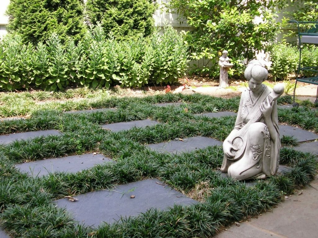 Discover our breathtaking collection of meticulously arranged plants, vibrant flowers, captivating artifacts, and exquisitely designed backyards brought to you by Top Gardens Inc.