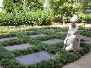 Maintained Garden path with Weed Control & Fungus Treatments