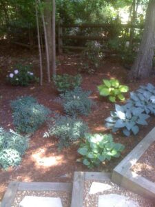 Mulch & Needles bed restoration and yard maintenance