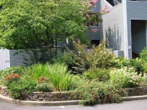 Yard maintenance featuring trimming shrubs and pruning plants