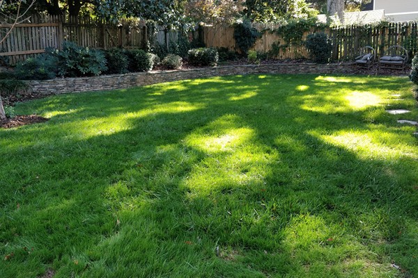 lawn maintenance after sod installation