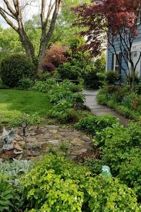 Garden Maintenence and lawn care in North Carolina yard