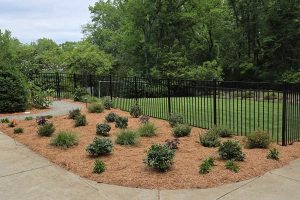 Landscaping with Sod installation, mulching, and shrub plantation