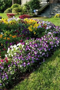 Garden maintenance with mowing, weed removal and flower planted