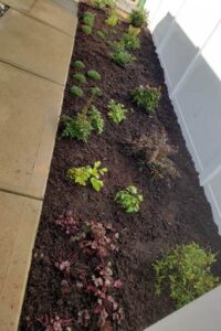 Charlotte, NC's Landscape Design, Installation, and Lawn Care Services