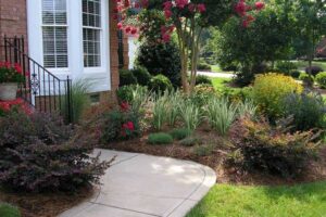 lawn care in charlotte featuring front lawn plantation, mowing, edging and mulch bed