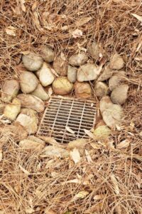 Landscape Drainage and Irrigation by Top Gardens