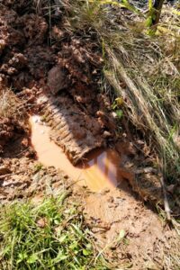 Top garden landscaping fixing garden drainage issues in Charlotte, NC