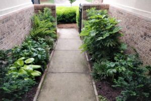 lawn care services by Top Gardens Landscaping.