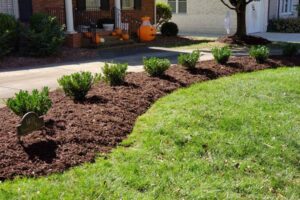 Mulch bed installation and lawn care services by Top Gardens Landscaping.