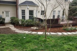 Charlotte lawncare with Pruning and Trimming, Mowing, and Sod Installation