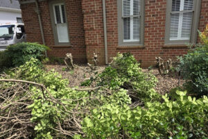 Residential garden pruning, lawn care, and top garden landscaping services for a home in Charlotte, NC.