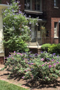 Front yard curb appeal, residential lawn care, and top garden landscaping for a brick home in Charlotte, NC