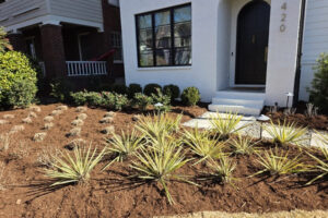 Freshly mulched front yard garden bed featuring low-voltage landscape lighting, perennial plants, and a stone paver walkway by Top Gardens in Charlotte, NC