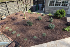 Freshly installed dark landscape mulch in a backyard garden bed featuring shrubs, a brick border, and a stone paver patio installed in Charlotte, NC