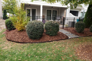 Freshly installed mulch bed with perfectly trimmed round bushes, landscape edging, and a stepping stone walkway completed by Top Gardens in Charlotte, NC