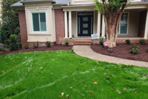 Professional mulch bed installation and residential lawn care services in Charlotte, NC, showcasing enhanced curb appeal with neat garden beds, young shrubs, and a healthy green lawn.